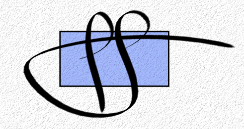 Tom Shermer Imagery logo